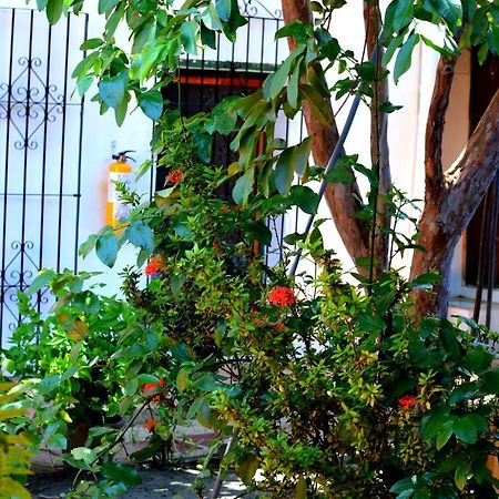 Casa Serrano - Callejón de Don Blas Hab. Cañaguate Mompos Exterior foto